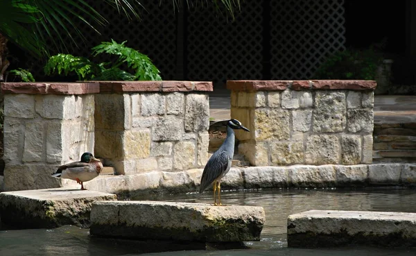 River Walk San Antonio Belvárosában Texasban — Stock Fotó