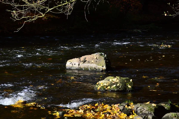 Paesaggio Autunno Nella Valle Del Fiume Bode Nelle Montagne Harz — Foto Stock