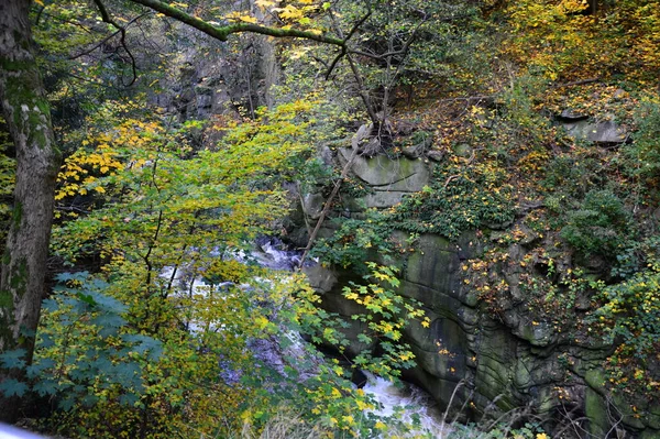 Landscape Autumn Valley River Bode Thale Saxony Anhalt — Stock Photo, Image
