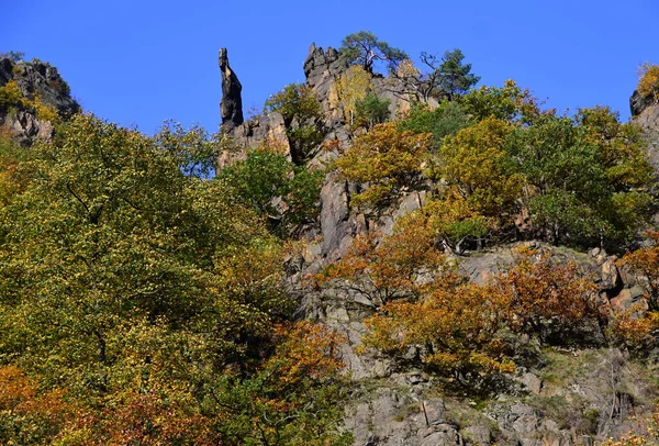 Podzim Údolí Říčního Potoka Pohoří Harz Thale Sasko Anhaltsko — Stock fotografie