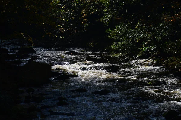 Paesaggio Autunno Nella Valle Del Fiume Bode Nelle Montagne Harz — Foto Stock