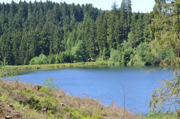 Lago Primavera Las Montañas Harz Baja Sajonia — Foto de Stock