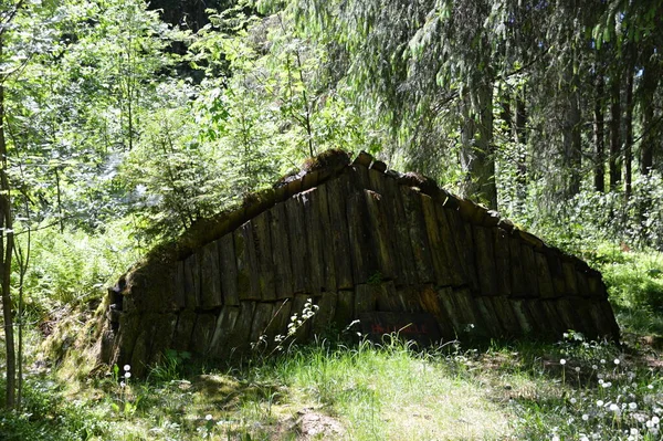 Cabaña Primavera Las Montañas Harz Baja Sajonia —  Fotos de Stock