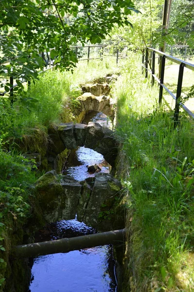 Opere Acqua Storiche Primavera Nelle Montagne Harz Bassa Sassonia — Foto Stock