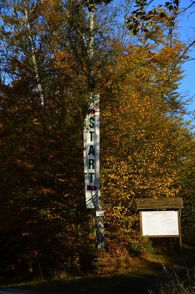 Autunno Alla Montagna Rosstrappe Nelle Montagne Harz Thale Sassonia Anhalt — Foto Stock