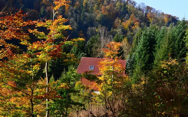 Bâtiment Historique Automne Dans Village Treseburg Dans Les Montagnes Harz — Photo