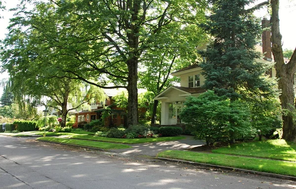 Grannskap Staden Coeur Alene Idaho — Stockfoto