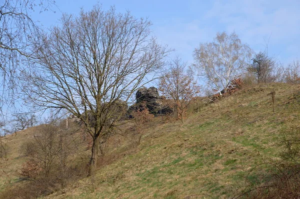 Frühlingslandschaft Der Teufelsmauer Harz Sachsen Anhalt — Stockfoto