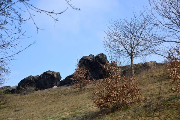 Rock Devils Wall Harz Mountains Saxony Anhalt — Stock Photo, Image