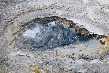 Yellowstone Ulusal Parkı, Wyoming 'de Sıcak Bahar