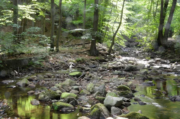 Krajina Podzim Údolí Řeky Ilse Harz Sasko Anhaltsko — Stock fotografie