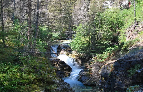 Stream Nel Parco Nazionale Del Ghiacciaio Montana — Foto Stock