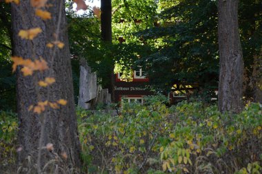 Harz Dağları 'ndaki Plessenburg' da sonbahar Saksonya - Anhalt