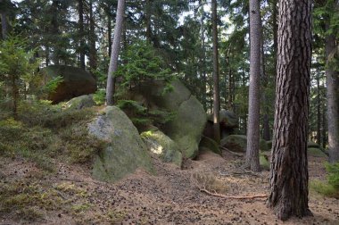 Sonbaharda Rock Westerklippe, Harz Dağları, Saksonya - Anhalt