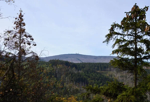 Πανόραμα Του Βουνού Brocken Φθινόπωρο Στα Βουνά Harz Σαξονία Άνχαλτ — Φωτογραφία Αρχείου
