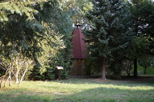 Park Hösten Staden Ilsenburg Harzbergen Sachsen Anhalt — Stockfoto