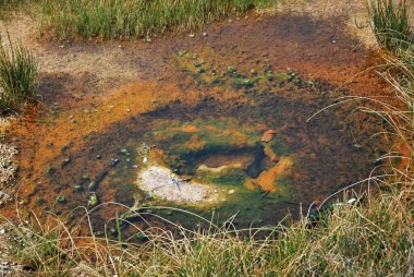 Yellowstone Ulusal Parkı, Wyoming 'deki gayzer