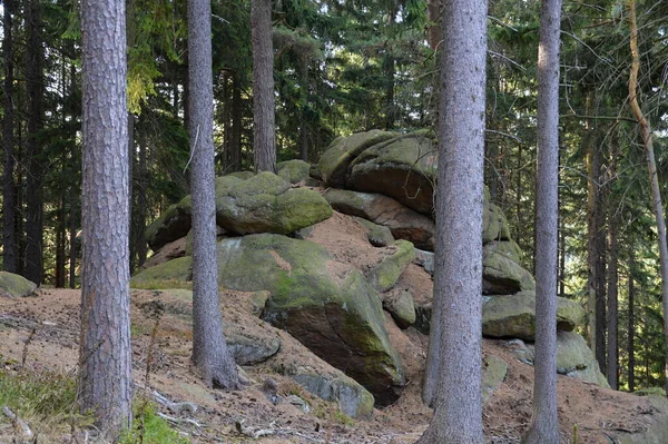 Cliff Westerklippe Ősszel Harz Hegységben Szászországban Anhalt — Stock Fotó