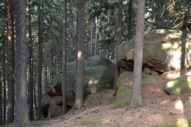 Cliff Westerklippe Sonbaharda Harz Dağları 'nda, Saksonya - Anhalt