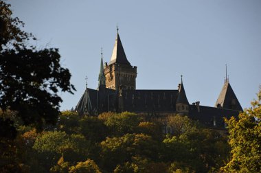 Eski Wernigerode, Saksonya 'daki Tarihi Kale