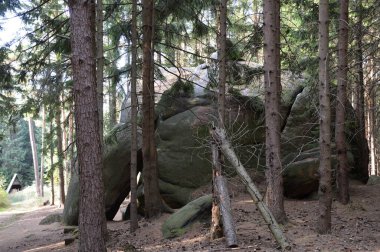 Sonbaharda Rock Froschfelsen, Harz Dağları, Saksonya - Anhalt