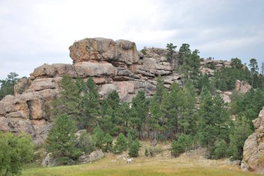 Güney Dakota, Black Hills 'teki Panorama Dağı manzarası