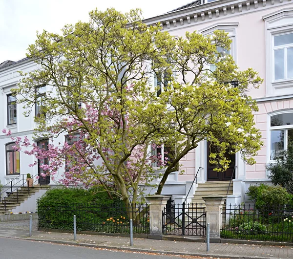 Villa Frühling Der Hansestadt Bremen — Stockfoto