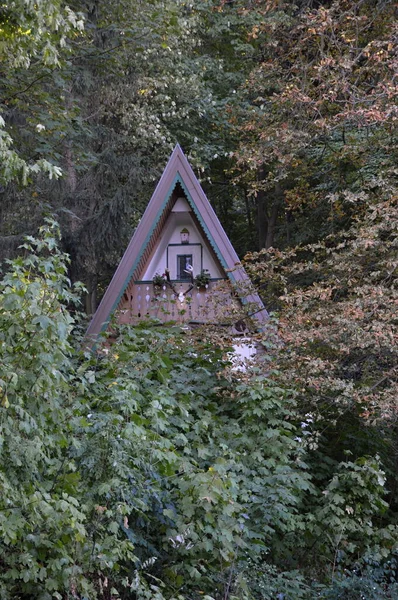 Edificios Históricos Casco Antiguo Wernigerode Las Montañas Harz Sajonia Anhalt —  Fotos de Stock