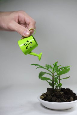 Beyaz yuvarlak bir tabakta, ortasında yeşil bir bitki filizi olan dünya ve üzerinde bir çiçeğin resmedildiği yeşil bir sulama tenekesi olan bir el onu sulamaya hazırlanıyor. Bahçe ve sebze bahçesiyle ilgili broşürler, kitap afişleri...