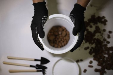 Bir ev bitkisinin elinde siyah eldivenler olan beyaz bir saksı. Beyaz arka plan bahçe aletleri ve genişletilmiş kil üzerinde bir adam. pankartlar için el ilanları kitapları renklerine göre etiketler