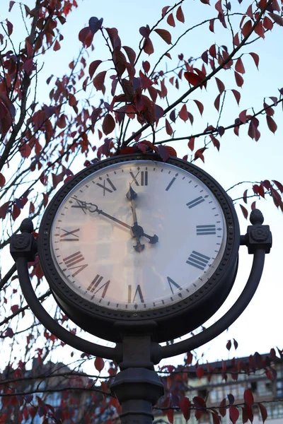 Уличные Ретро Часы Шесте Крупным Планом Рядом Деревом Красными Осенними — стоковое фото