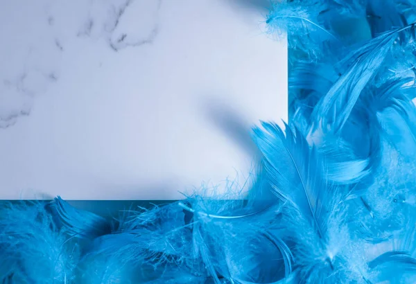 a fluffy blue feather lies on a white marble board with gray veins.for interior design notebook labels banners