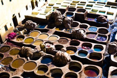 desert view... the camel and the sand