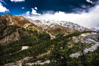 nanga parbat and hymalaya