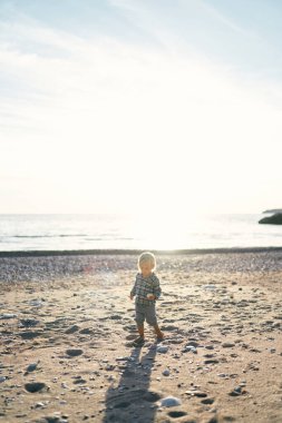 Little girl walking on the sandy beach. High quality photo