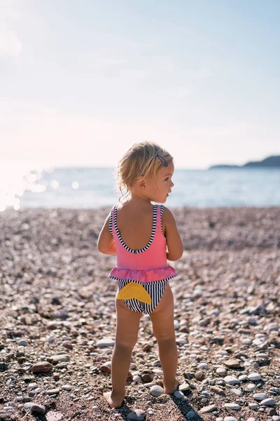 Little girl in a swimsuit stands on the beach with her head turned to the side. Back view. High quality photo