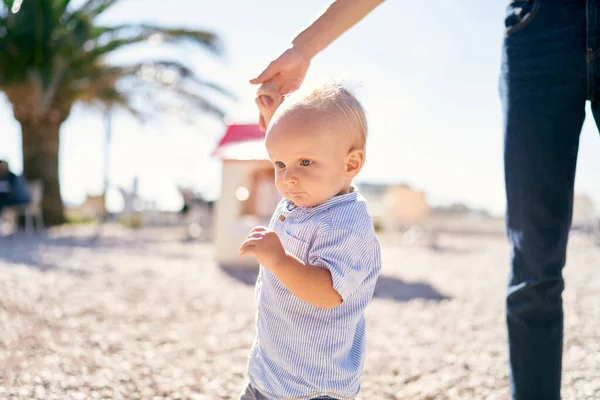 Little boy walks holding his mom hand. High quality photo