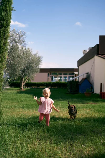 Little girl with a dog runs across the lawn near the house. High quality photo