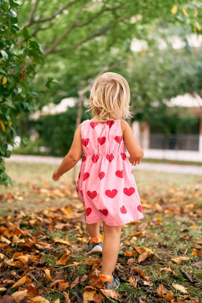 Little girl walks through the yellow foliage in the garden. Back view. High quality photo