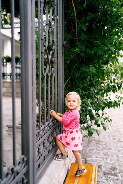 Little girl stands near a forged gate, holding on to the bars. High quality photo