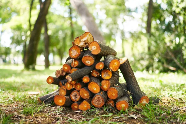 Chopped firewood lies in a heap on a green meadow. High quality photo