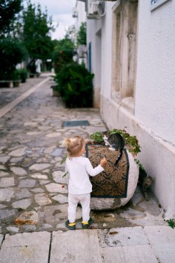 Little girl stands in front of a large stone with a sitting cat. High quality photo