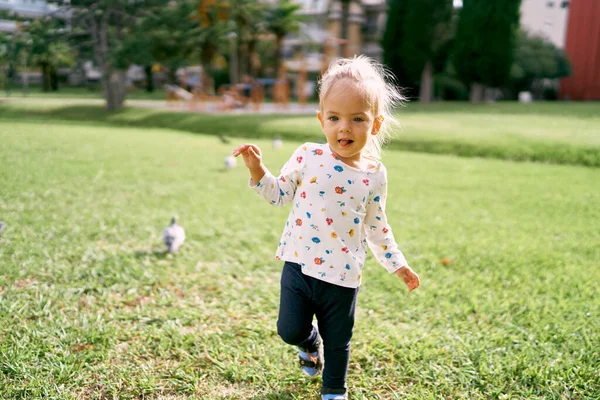 Little Girl Walks Green Grass Her Tongue Out High Quality — 스톡 사진