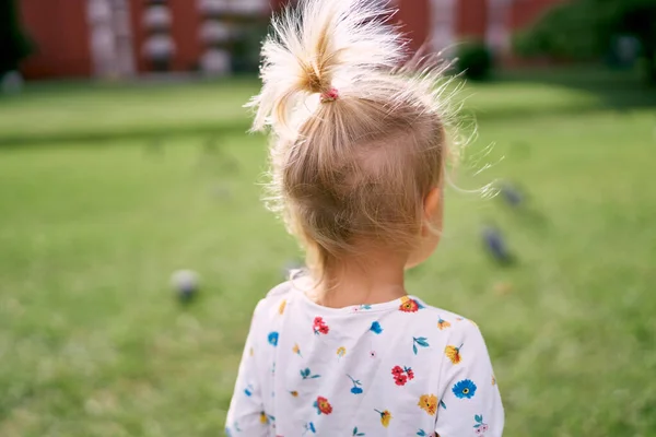 Little girl with a ponytail on top of her head on a green lawn. High quality photo