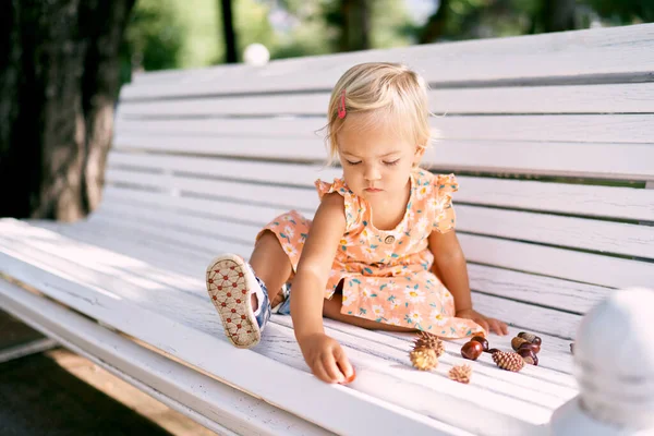 Little Girl Sits Bench Plays Cones Chestnuts High Quality Photo — Foto de Stock