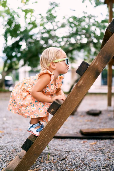 Küçük kız çocuk parkında tahta bir merdivene tırmanıyor. Yüksek kalite fotoğraf