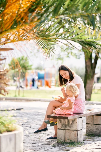 Mamma Matar Flicka Från Sked Som Sitter Bänk Palm Högkvalitativt — Stockfoto