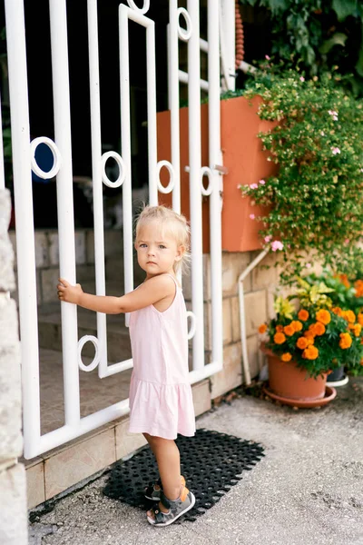 Маленька Дівчинка Тримається Металеві Ворота Біля Кам Яного Паркану Високоякісна — стокове фото