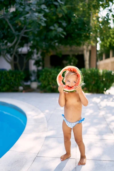 Küçük kız ortada yuvarlak bir karpuz parçasını kemiriyor. Yüksek kalite fotoğraf