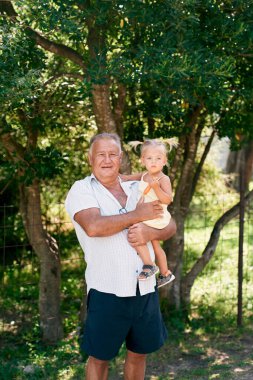 Büyükbabam kucağında küçük bir kız tutuyor. Yüksek kalite fotoğraf